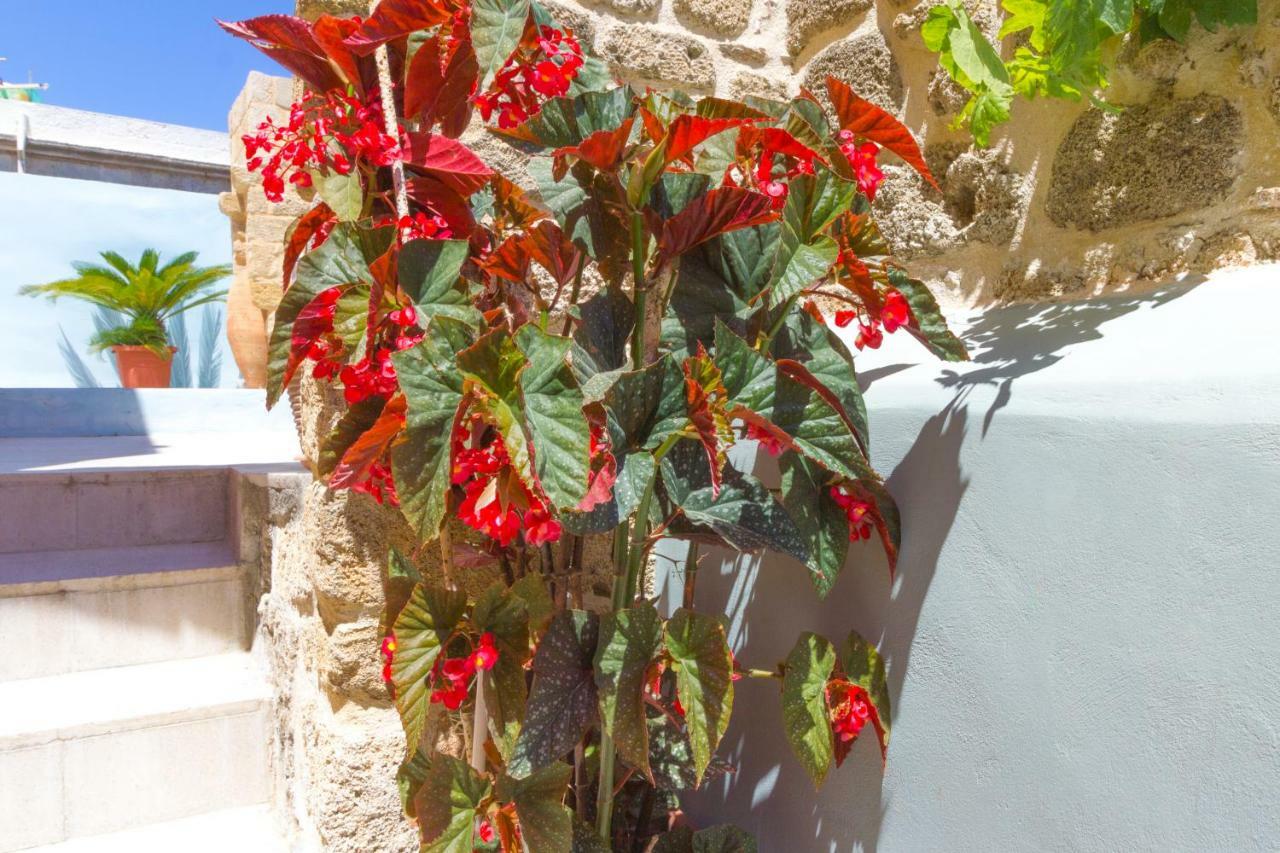 Colours - Old Town - Studios Rhodes City ภายนอก รูปภาพ